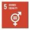 UN SDG 5: Gender Equality